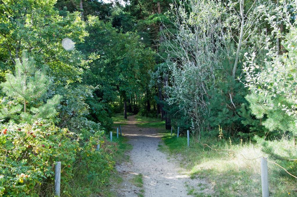 Ferienhaus Emmely Nur Wenige Gehminuten Zum Strand Ruhig Glowe Zewnętrze zdjęcie